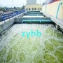 天津：全國(guó)首家全能污水處理廠 污水污泥再生水一站全搞定